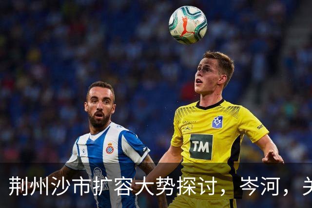 荆州沙市扩容大势探讨，岑河，关沮，立新外围，三地潜力分析