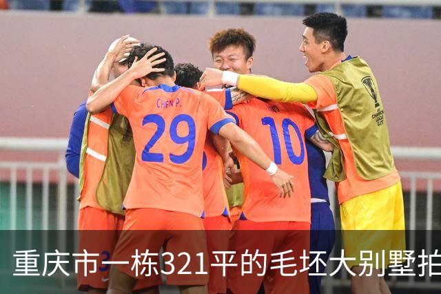 重庆市一栋321平的毛坯大别墅拍卖，被人145万元就买下了