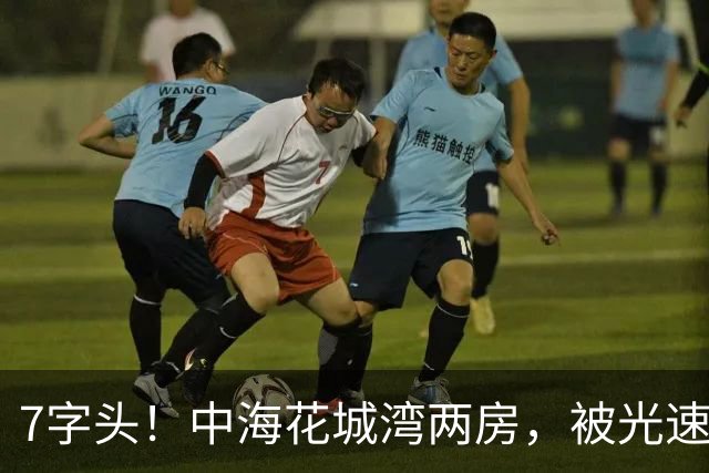 7字头！中海花城湾两房，被光速捡漏
